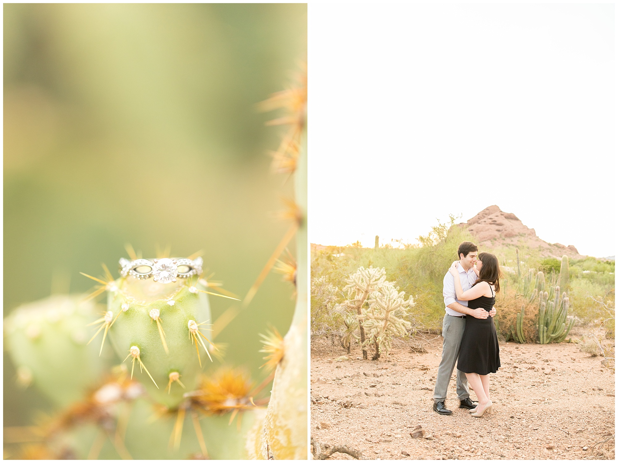 Desert Botanical Garden Engagement Session