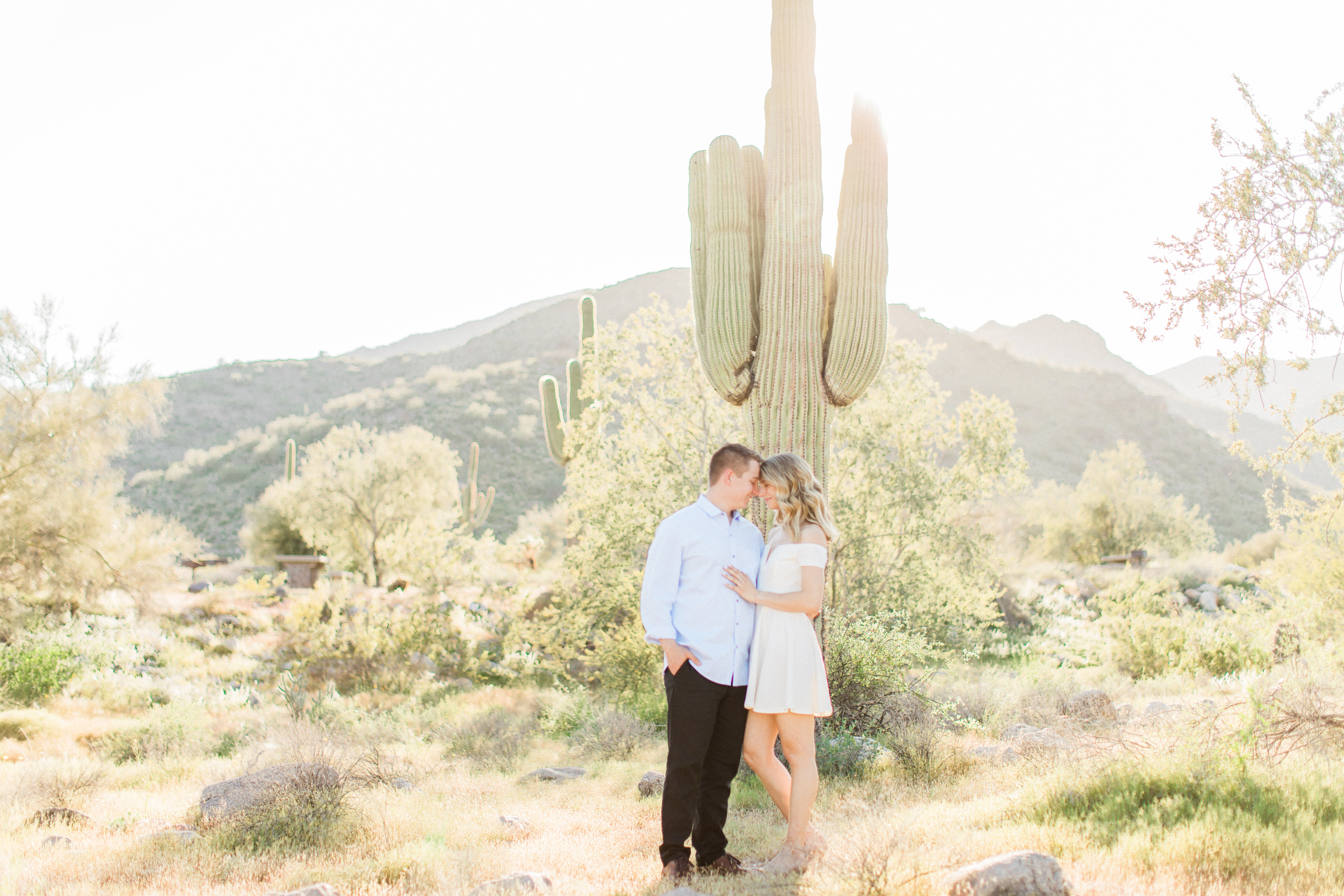 engaged couple standing in front of large cactus at arizona engagement session