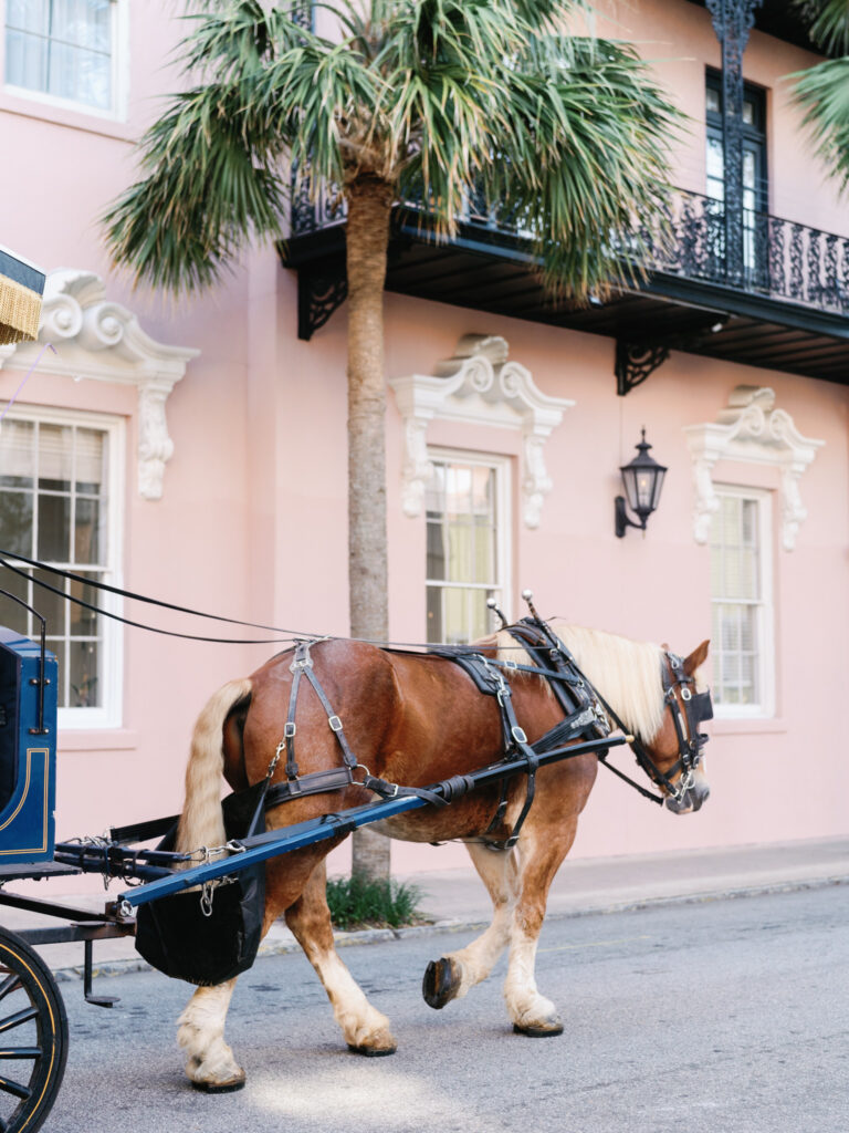 Charleston Charm: 8 Compelling Reasons for a Luxury Destination Wedding