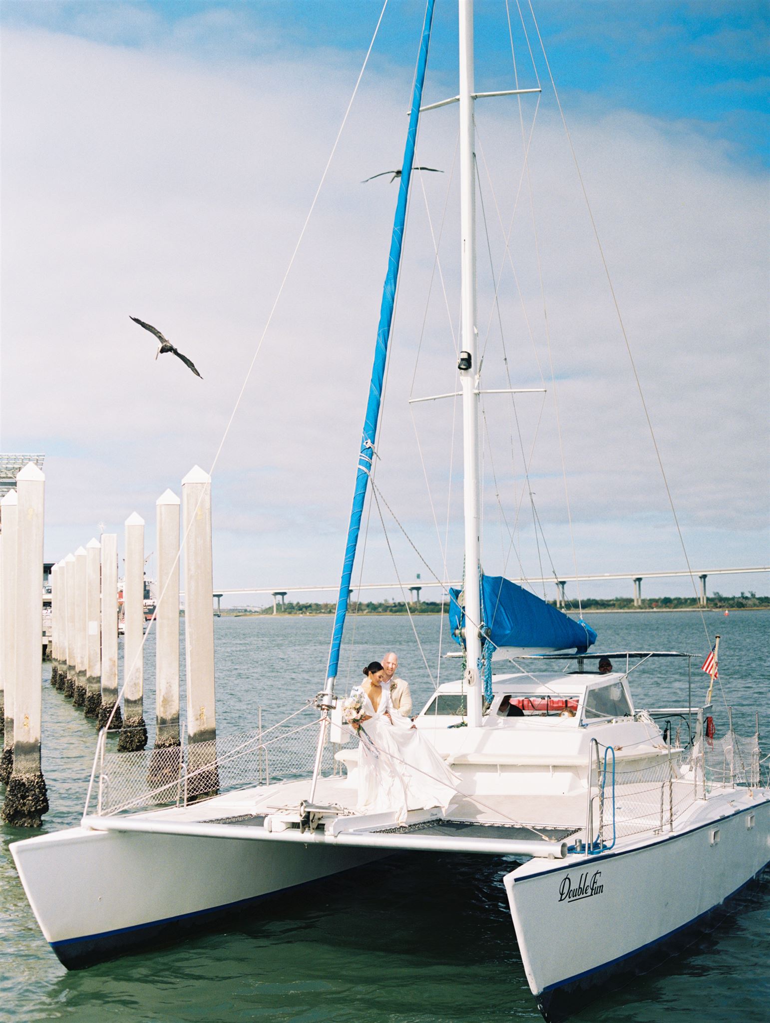 bride and groom in Charleston harbor for intimate wedding celebration with a bird flying in the background